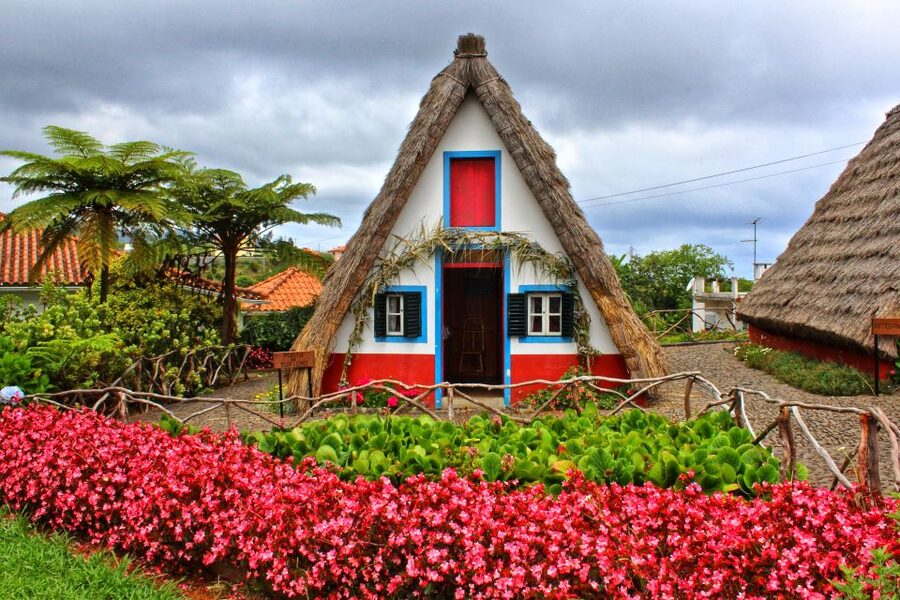 Funchal: East Madeira Island Guided Tour & Laurissilva Walk - What $35 includes, and what it does not