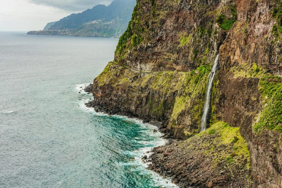 Funchal: Enchanted Terraces, Porto do Moniz & Fanal 4WD Tour - Key things to know before you book