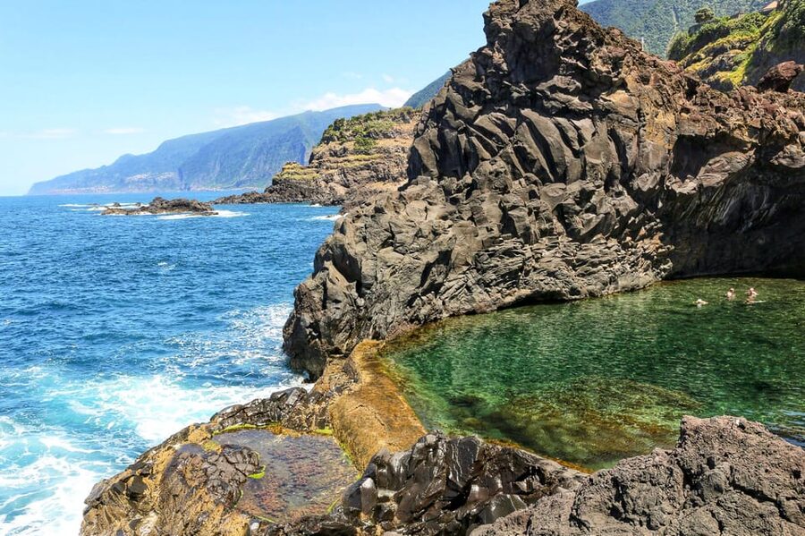 Funchal: Enchanted Terraces, Porto do Moniz & Fanal 4WD Tour - Fanal Forest and the old laurel trees
