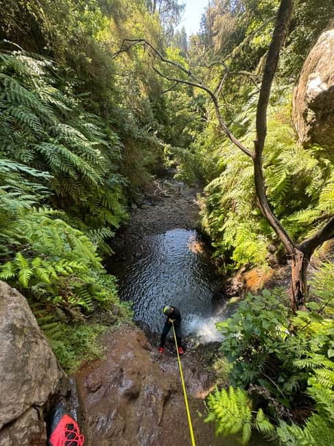 Funchal: Explore Canyoning Level 1 Rochão - A gentle first step into Madeira canyoning