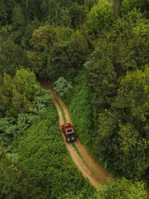 Funchal: Full-day Off-road Tour in West Madeira with Pickup - Fanal Forest, where the weather becomes part of the show