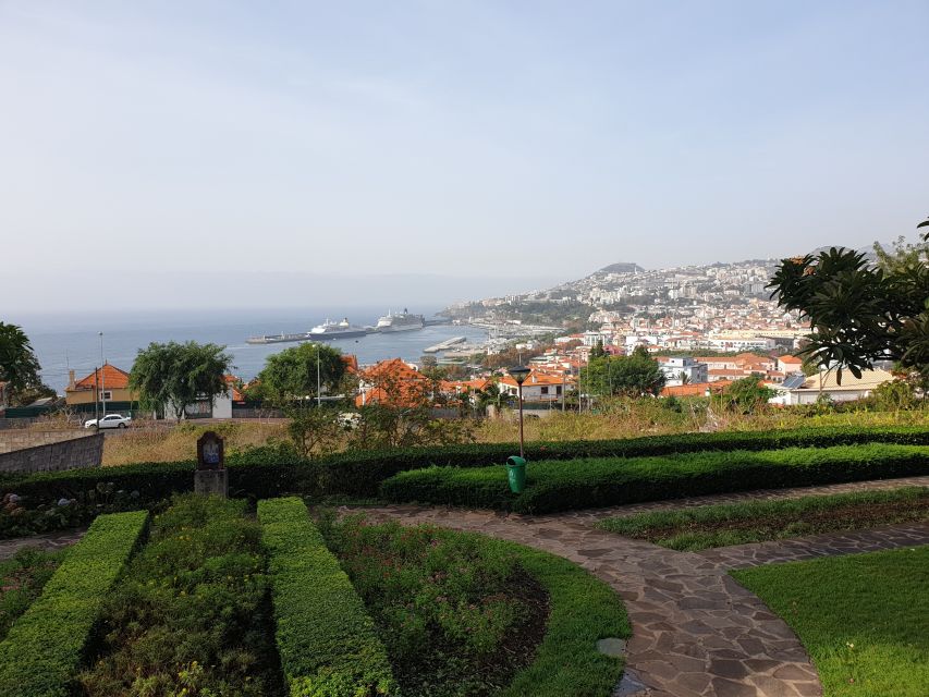Funchal: Guided City Tuk-Tuk Tour - Should you book the Funchal tuk-tuk tour?