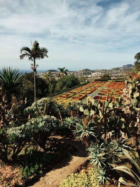 Funchal: Guided Old Town Tuk Tuk Tour and Botanical Gardens - Seeing the Cathedral and Workers’ Market