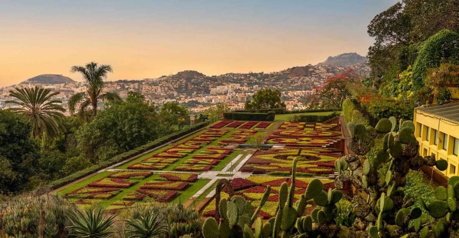 Funchal: Guided Old Town Tuk Tuk Tour and Botanical Gardens - Starting with Funchal’s Old Town