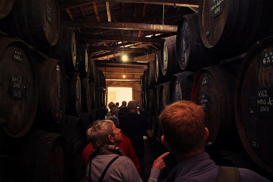 Funchal: H.M. Borges Winery Guided Tour with Wine Tasting - A small Funchal winery with a long family story