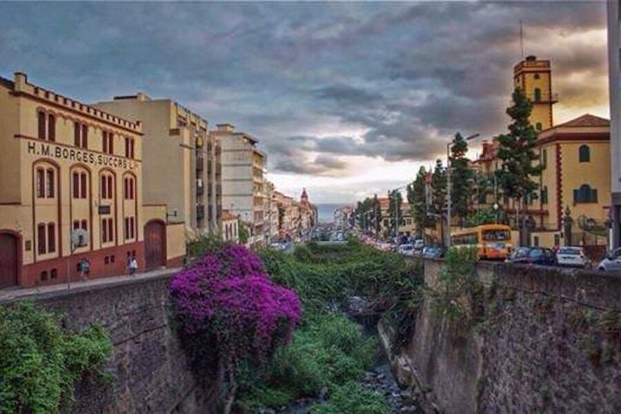 Funchal: H.M. Borges Winery Guided Tour with Wine Tasting - Practical comfort and access