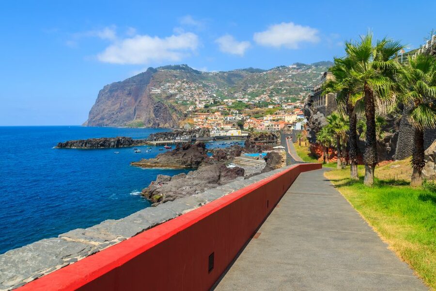 Funchal: Hop-On Hop-Off Bus Tour - Funchal’s old center, cathedral, and market