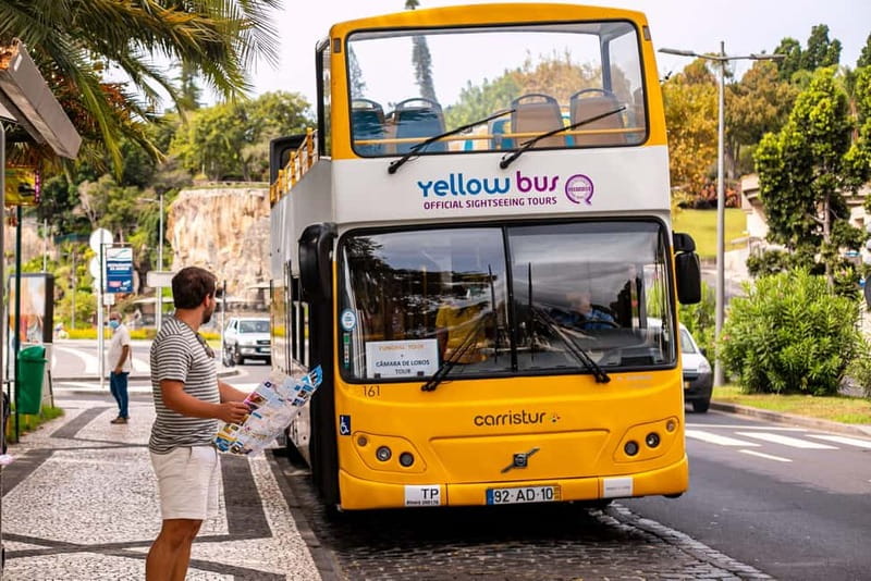 Funchal:Hop-on Hop-off Bus & Whale & Dolphin boat Excursion - Why combining the bus and boat works in Madeira