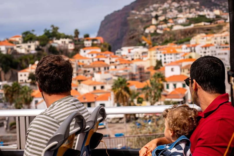 Funchal:Hop-on Hop-off Bus & Whale & Dolphin boat Excursion - Gardens and viewpoints above Funchal