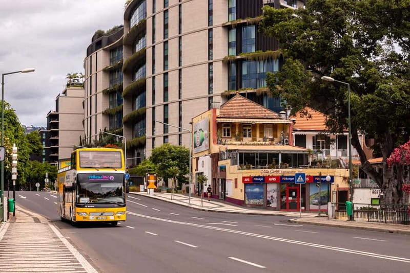 Funchal:Hop-on Hop-off Bus & Whale & Dolphin boat Excursion - Lido, pools, and western Funchal