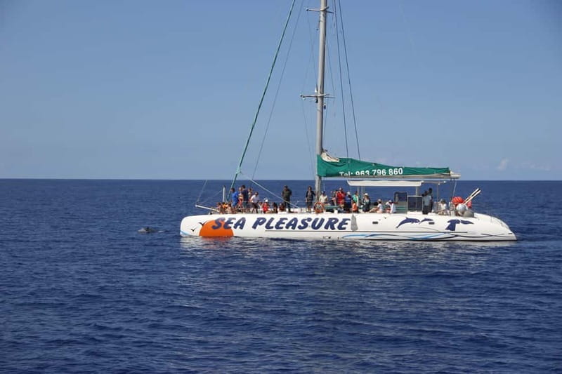 Funchal:Hop-on Hop-off Bus & Whale & Dolphin boat Excursion - Madeira wine and embroidery included