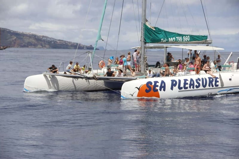 Funchal:Hop-on Hop-off Bus & Whale & Dolphin boat Excursion - Funchal’s center, market, and old streets