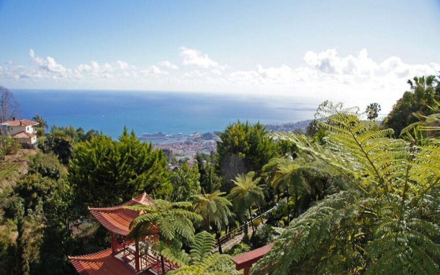 Funchal: Monte Palace Tropical Gardens Tuk Tuk Tour - Key Points To Know Before You Book