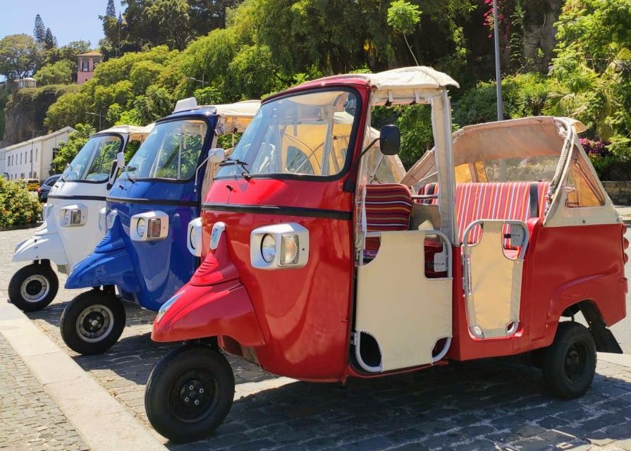 Funchal: Monte Toboggan and Old Town Tour by Tuk-Tuk - Who should book this Funchal tuk-tuk tour?