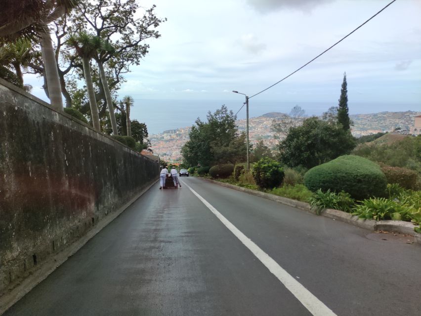 Funchal: Monte Toboggan and Old Town Tour by Tuk-Tuk - Why the Monte basket ride is worth your time