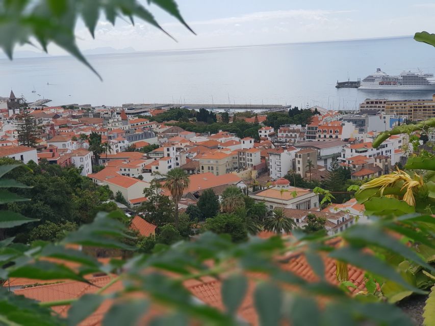 Funchal: Monte Toboggan and Old Town Tour by Tuk-Tuk - What happens if the toboggan is closed