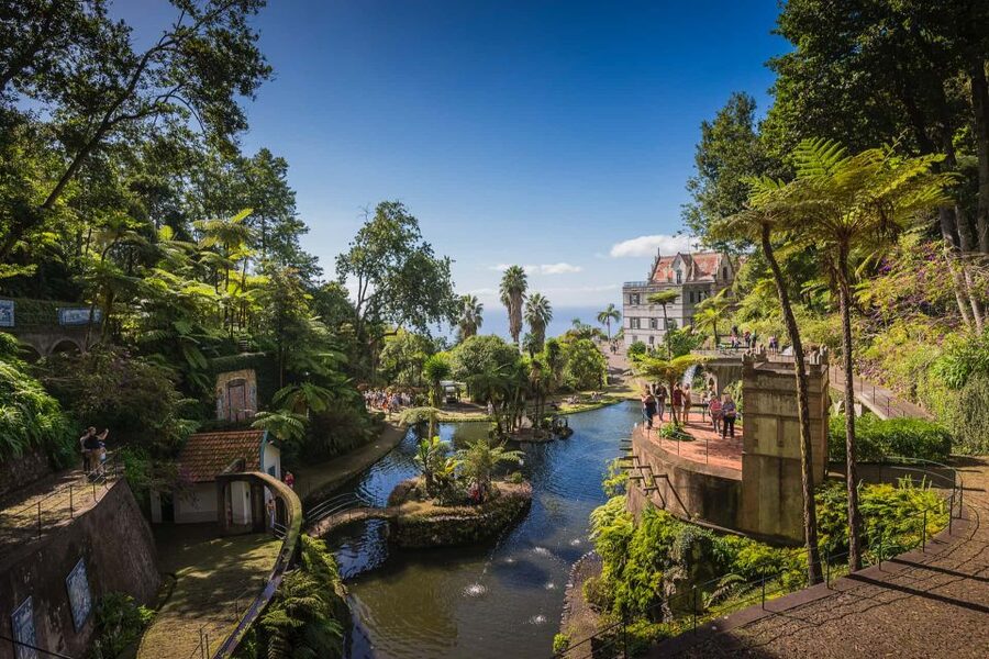 Funchal: Monte Tropical Garden & Toboggan Ride by Tuk Tuk - Who should book this Monte tuk tuk tour?