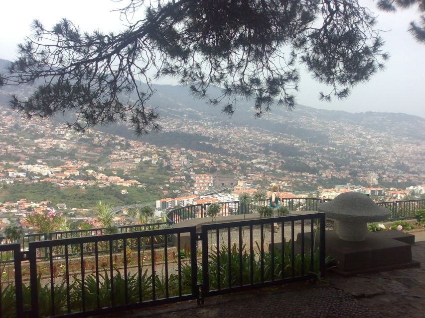 Funchal: Nuns Valley Half Day Tour - The $29 price and what you receive