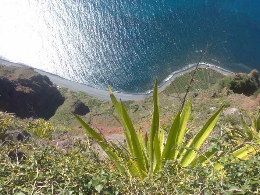 Funchal: Nuns Valley Half Day Tour - Should you book the three-hour Nuns Valley trip?