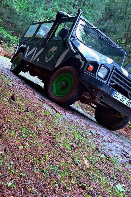 Funchal: Pico do Areeiro to Santana 4x4 East Tour - What the $73 price really buys you
