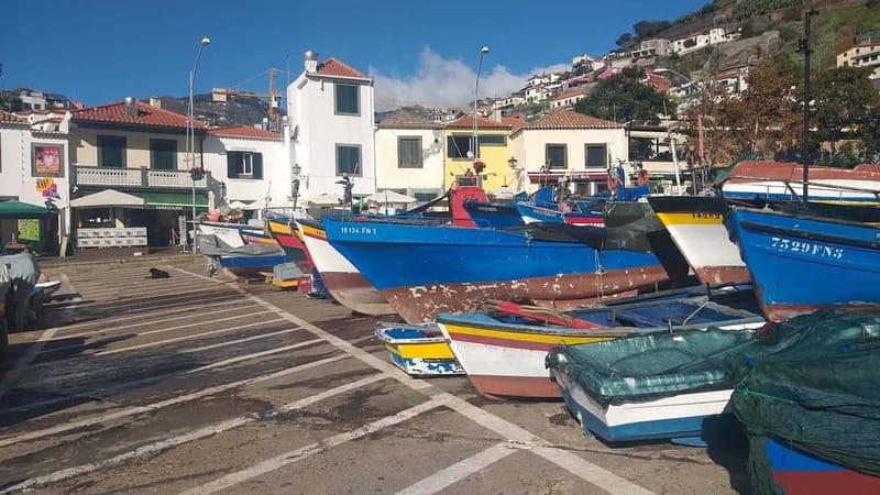 Funchal Private 4-Seater VIP Mercedes / 8-Seater Minibus - Your guide is the main difference