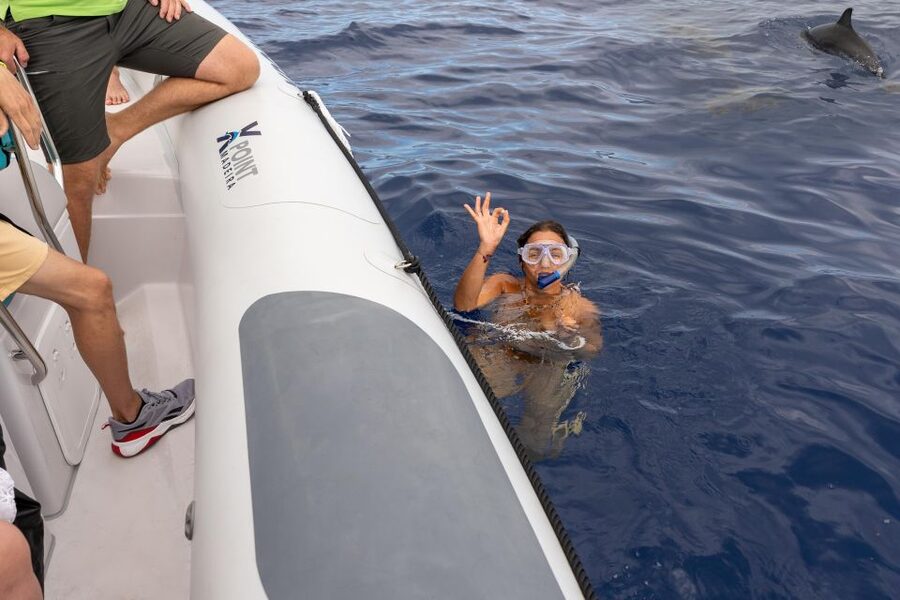 Funchal: RIB Whale Watching Cruise and Optional Dolphin Swim - A 2.5-hour wildlife ride from Funchal