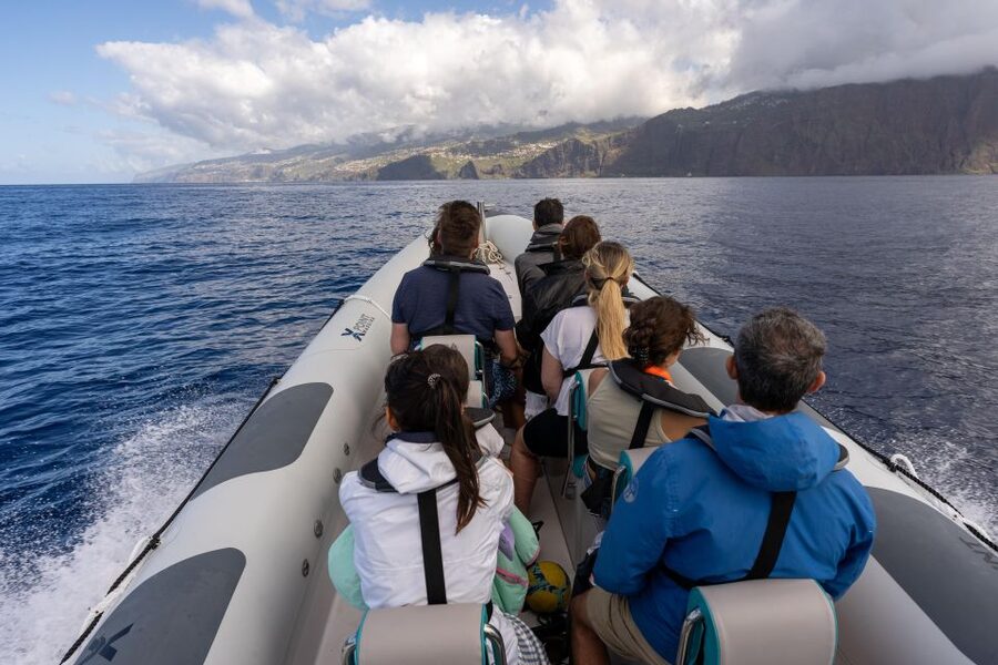 Funchal: RIB Whale Watching Cruise and Optional Dolphin Swim - The Cabo Girão view on the way back