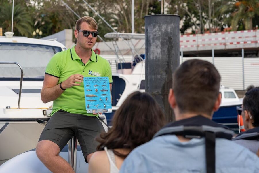 Funchal: RIB Whale Watching Cruise and Optional Dolphin Swim - Is the $61 price good value?