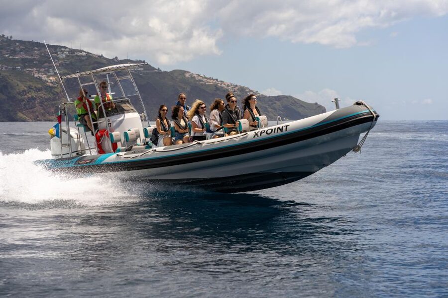 Funchal: RIB Whale Watching Cruise and Optional Dolphin Swim - Searching for dolphins and whales around Madeira