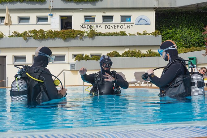 Funchal: Scuba Diving Experience for Beginners - Why this Funchal experience works for first-timers