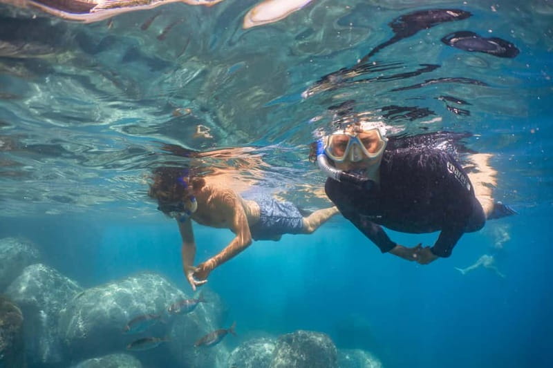 Funchal: Snorkeling Adventure in Eco-Park / Shore or by Boat - Choosing between Madeira’s house reef and the boat trip