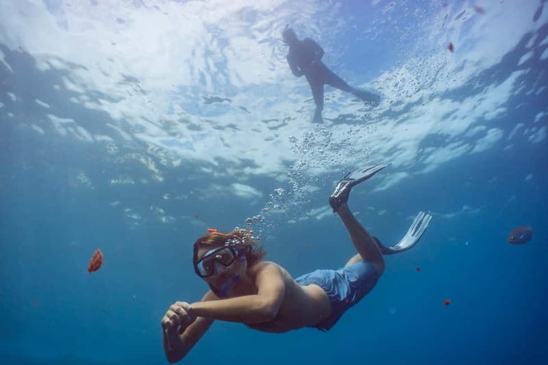 Funchal: Snorkeling Adventure in Eco-Park / Shore or by Boat - Starting inside the Pestana Carlton hotel