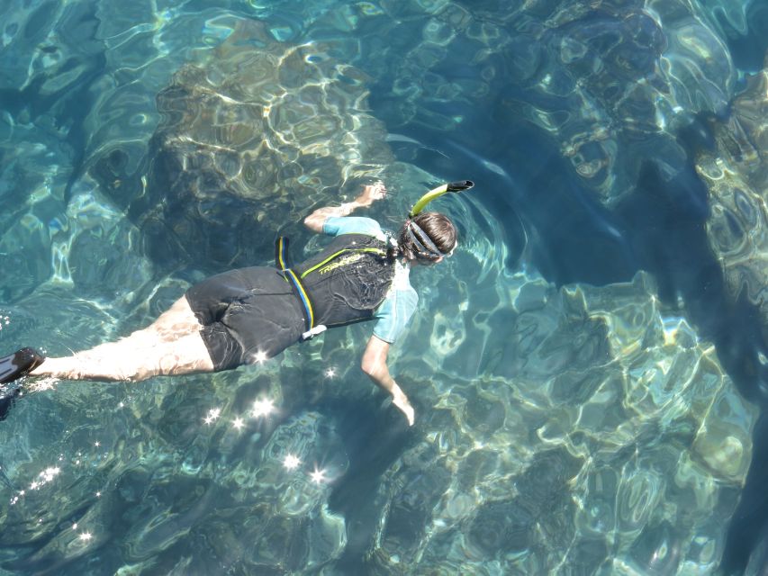 Funchal: Snorkeling Adventure in Eco-Park / Shore or by Boat - Comfort, safety, and small-group advantages
