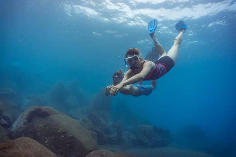 Funchal: Snorkeling Adventure in Eco-Park / Shore or by Boat - Practical tips for a smoother swim