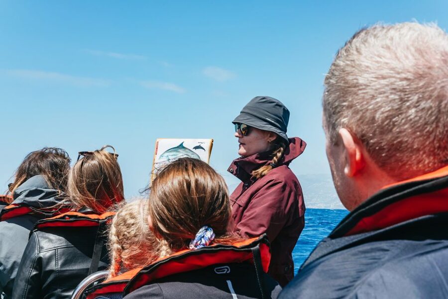 Funchal: Whale and Dolphin Watching Speed Boat Tour - Who will enjoy this Funchal whale watching tour?