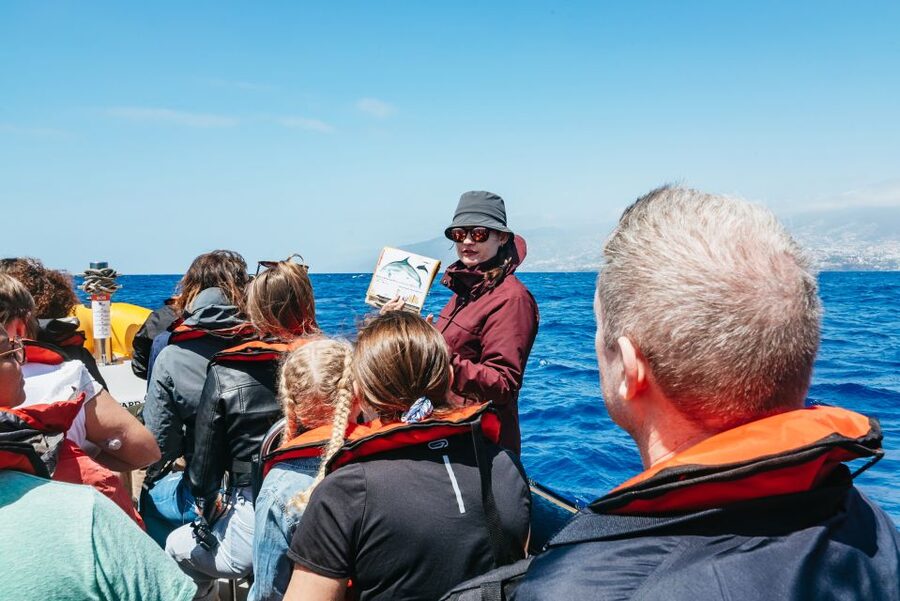 Funchal: Whale and Dolphin Watching Speed Boat Tour - Leaving Funchal Marina on a compact speedboat