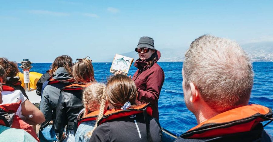 Funchal: Whale and Dolphin Watching Speed Boat Tour - Finding dolphins and whales with help from land
