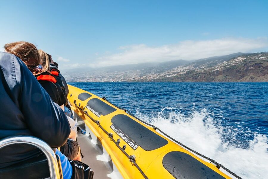 Funchal: Whale and Dolphin Watching Speed Boat Tour - Why the boat ride deserves its own attention