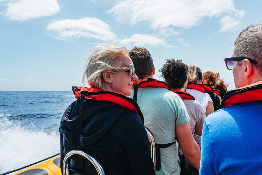Funchal: Whale and Dolphin Watching Speed Boat Tour - Is $56 a fair price for two and a half hours?