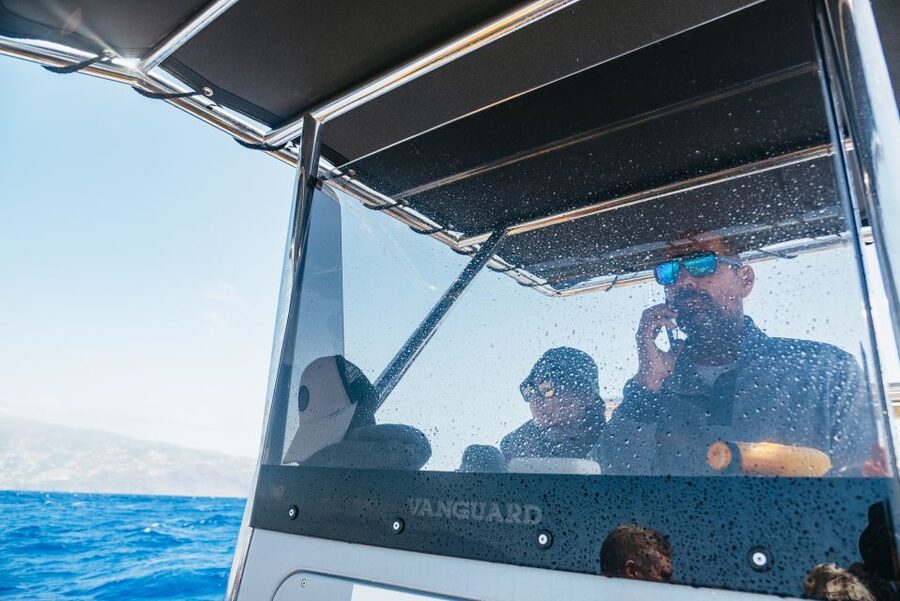 Funchal: Whale and Dolphin Watching Speed Boat Tour - How to plan your clothing and camera gear