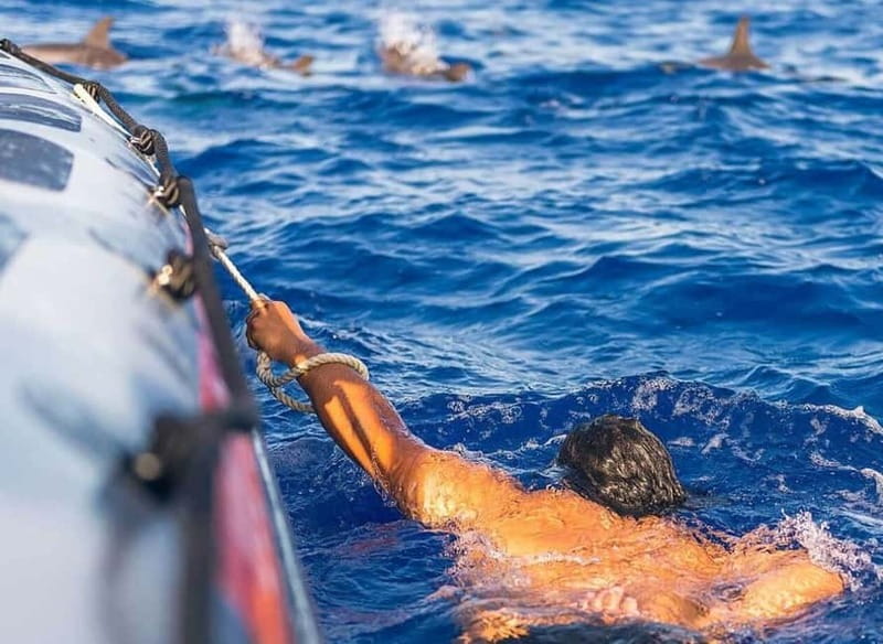 Funchal: Whale Watching and Swimming with Dolphins Cruise - Searching for whales and dolphins