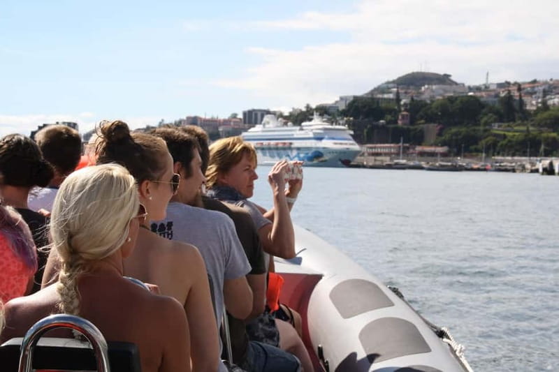 Funchal: Whale Watching and Swimming with Dolphins Cruise - Meeting the marine biologists