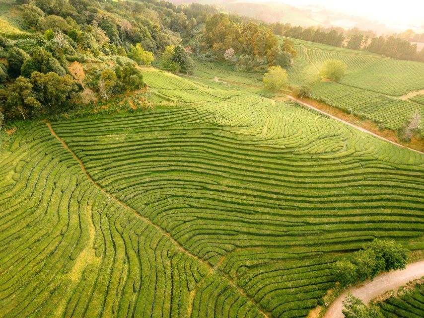 Furnas: Tea Plantations, Lake and Volcano Guided Tour - Furnas Lake from ground level