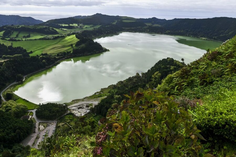 Furnas: Tea Plantations, Lake and Volcano Guided Tour - Gorreana Tea Plantation: a calm start among the fields