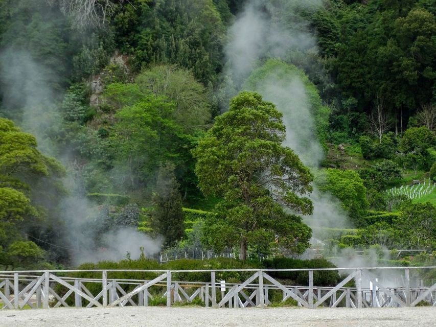 Furnas: Thermal Springs & Tea Plantation Day Tour with Lunch - Pickup from four parts of São Miguel