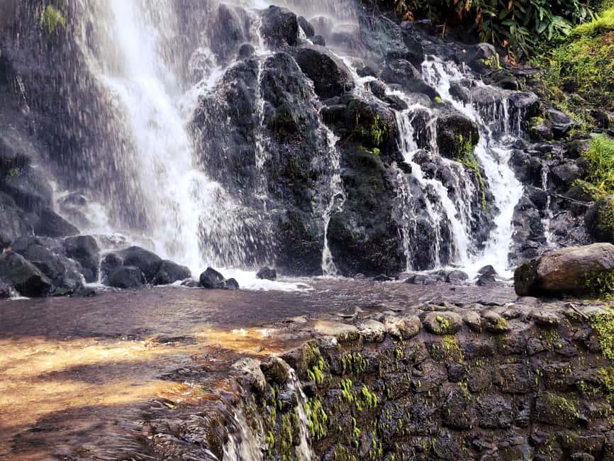 Furnas: Volcano Crater, Lake, Tea Plantation, and Waterfall - Santa Iria Lookout and São Miguel’s north coast
