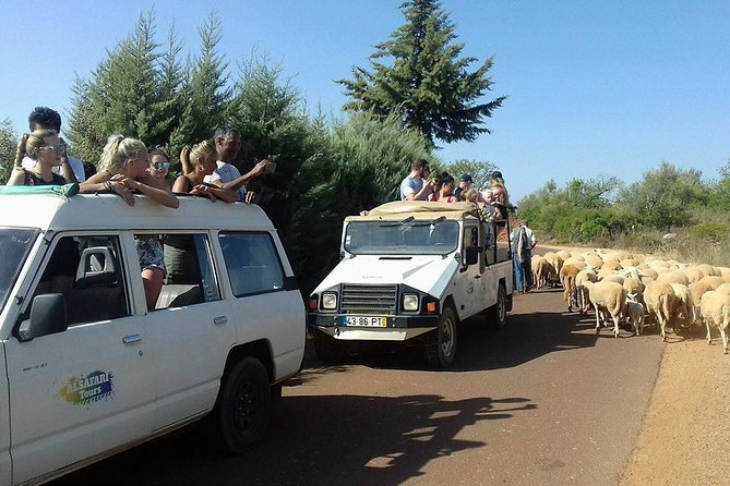 Half-Day Algarve Countryside and Villages Jeep Safari - Learning how cork becomes a Portuguese product