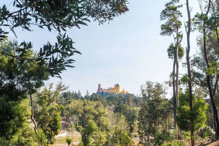 Half-Day Sintra Tour from Lisbon with Transfers - Who should book this half-day Sintra tour?