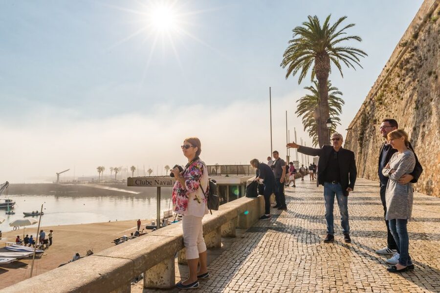 Half-Day Sintra Tour from Lisbon with Transfers - Pena Palace: the big decision