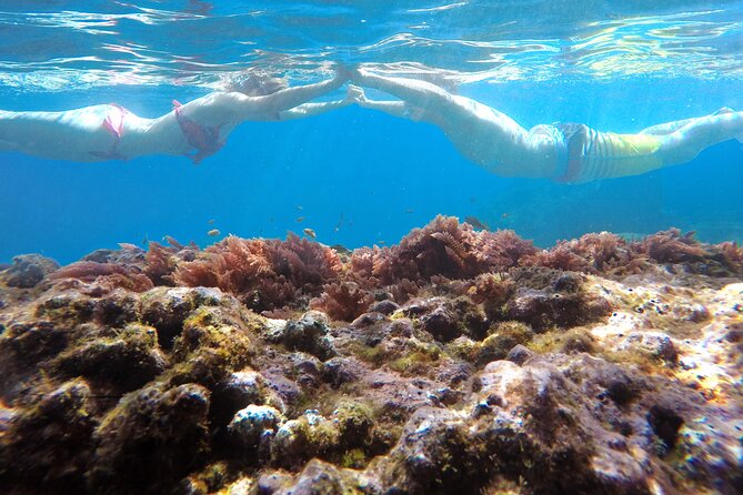 Kayak and Snorkeling Tour in Underwater Nature Reserve Garajau - Timing, launch delays, and what two hours really means